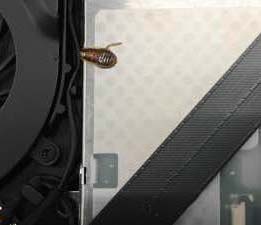 Armor & Shield is the best bed bug exterminator around Oklahoma City